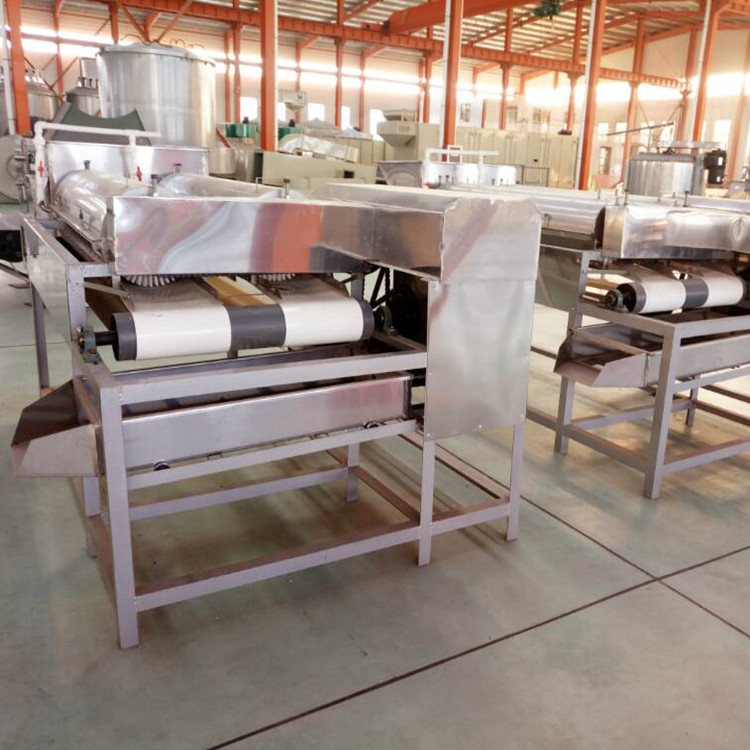 花生果清洗機(jī)